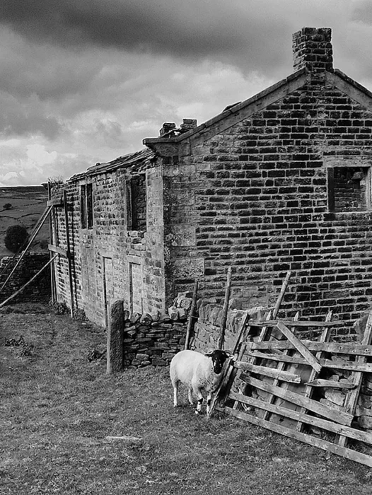 Farm Black and White old photos Wallpaper