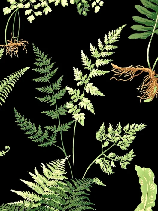 Ferns pattern Wallpaper