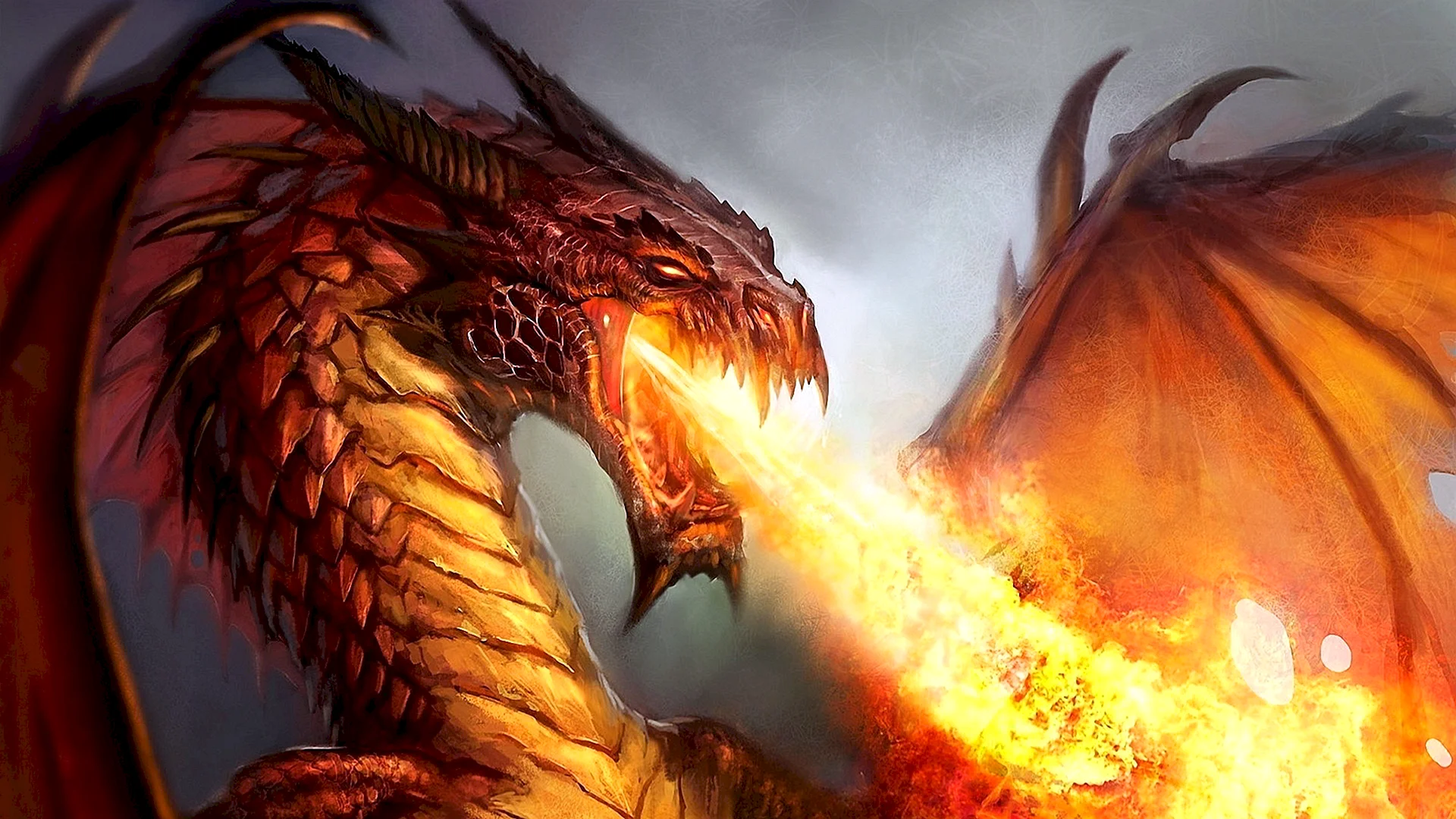 Fiery Dragon Wallpaper