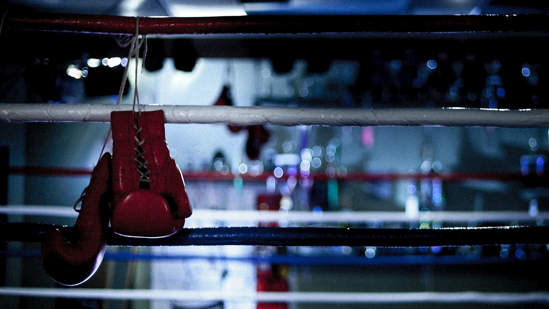 Fight Ring Wallpaper