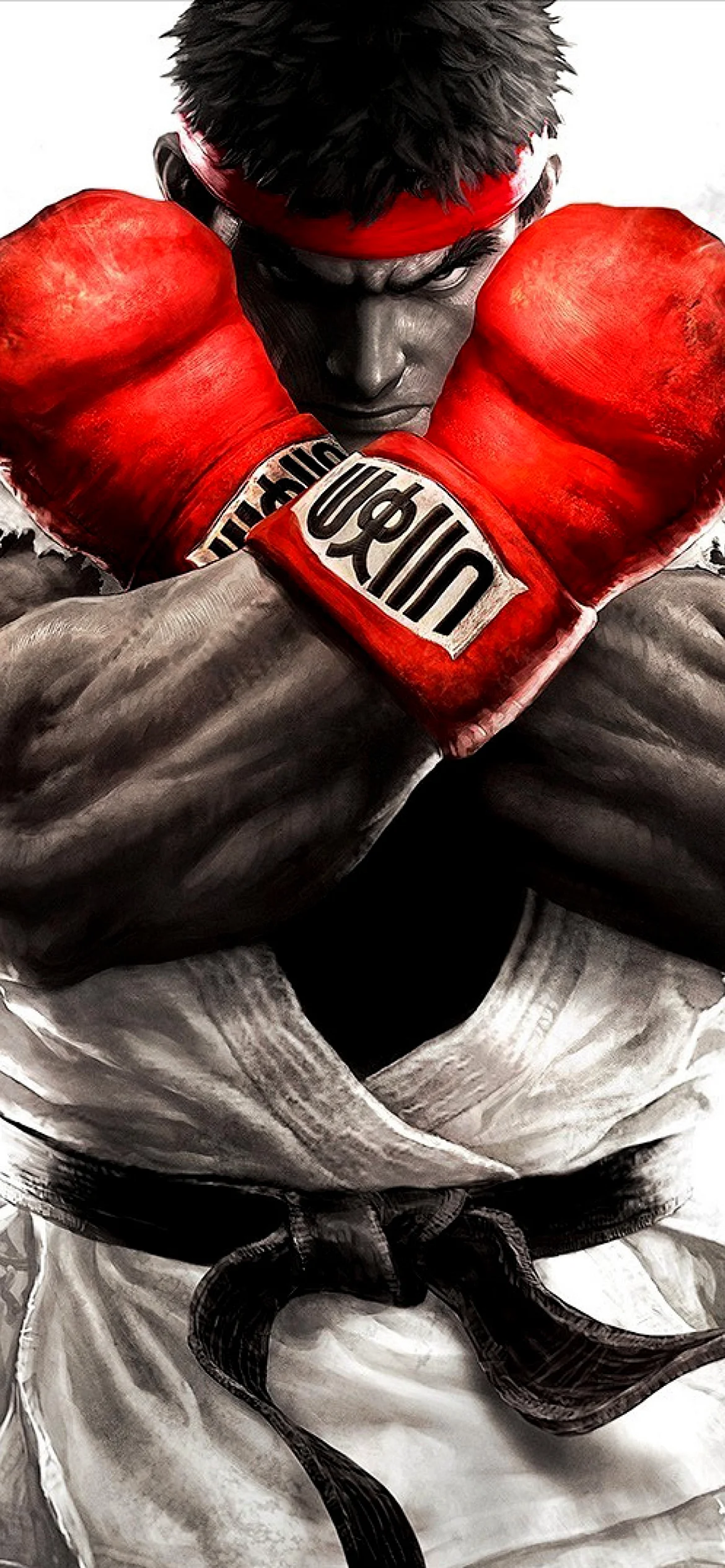 Fighter Wallpaper for iPhone 12 Pro