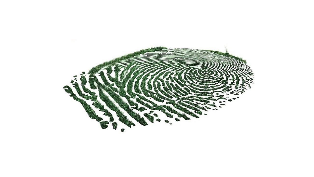 Fingerprint Wallpaper