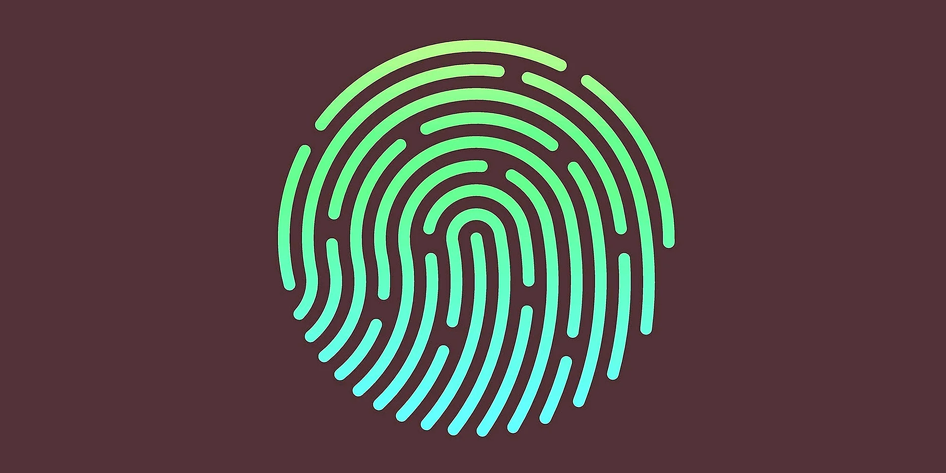 Fingerprint Pattern Wallpaper