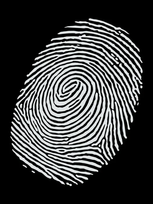 Fingerprints Black And White Wallpaper