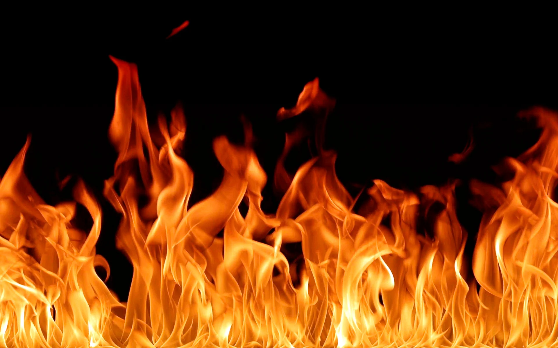 Fire Wallpaper