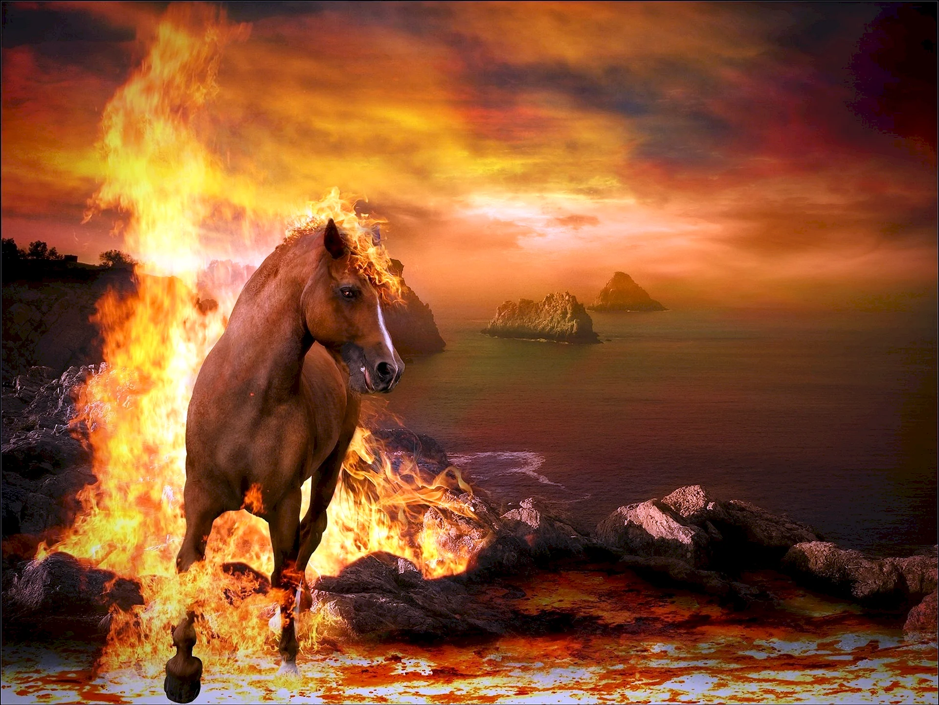 Fire Horse Wallpaper