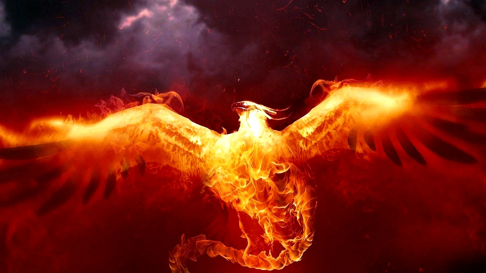 Fire Phoenix Wallpaper
