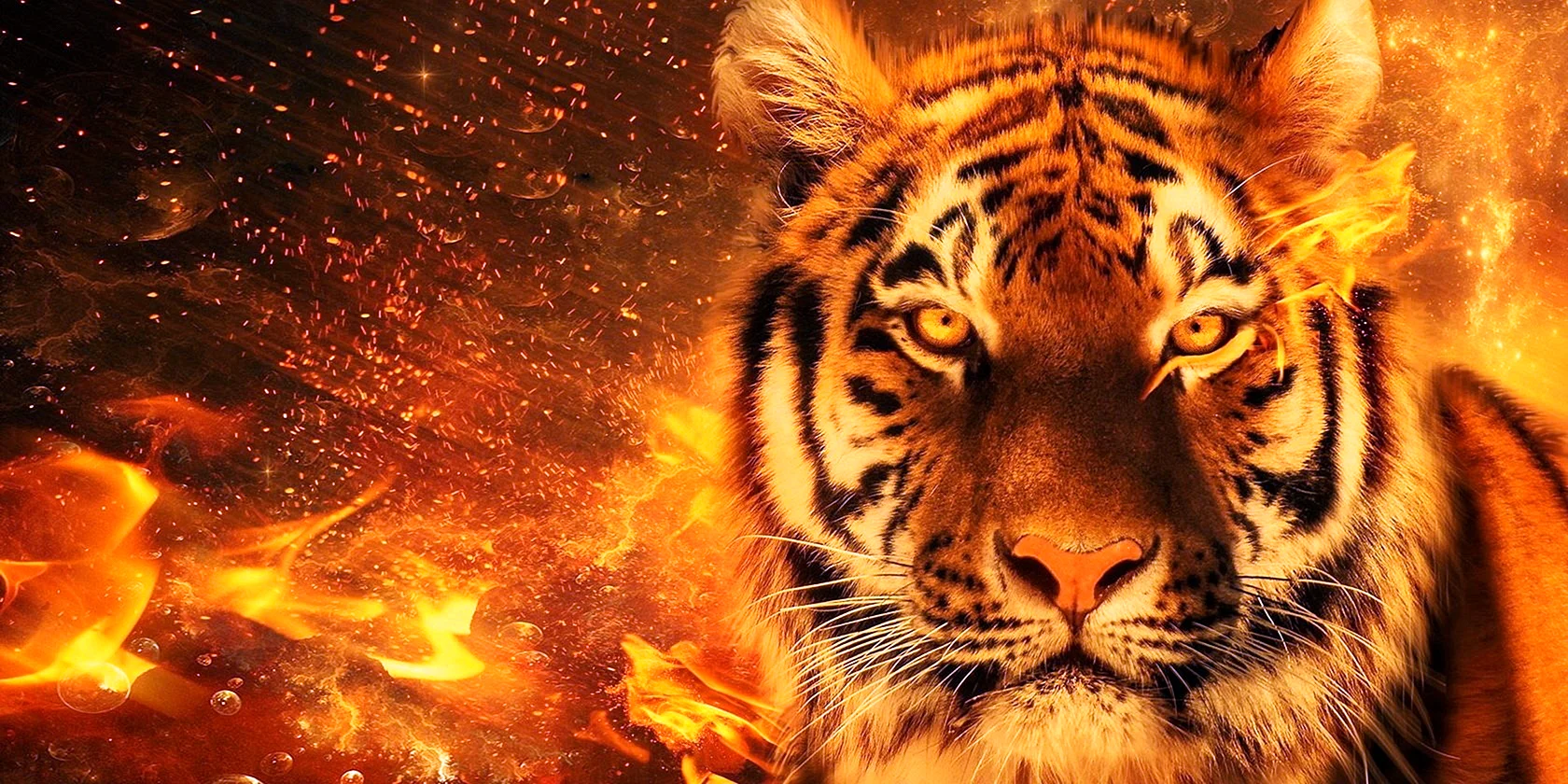 Fire Tiger Wallpaper