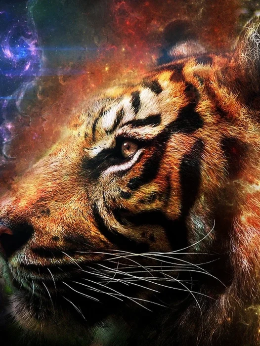 Fire Tiger Wallpaper