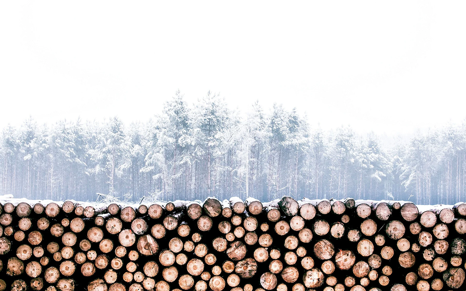 Firewood Snow Wallpaper