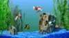 Fish Aquarium 3D Wallpaper