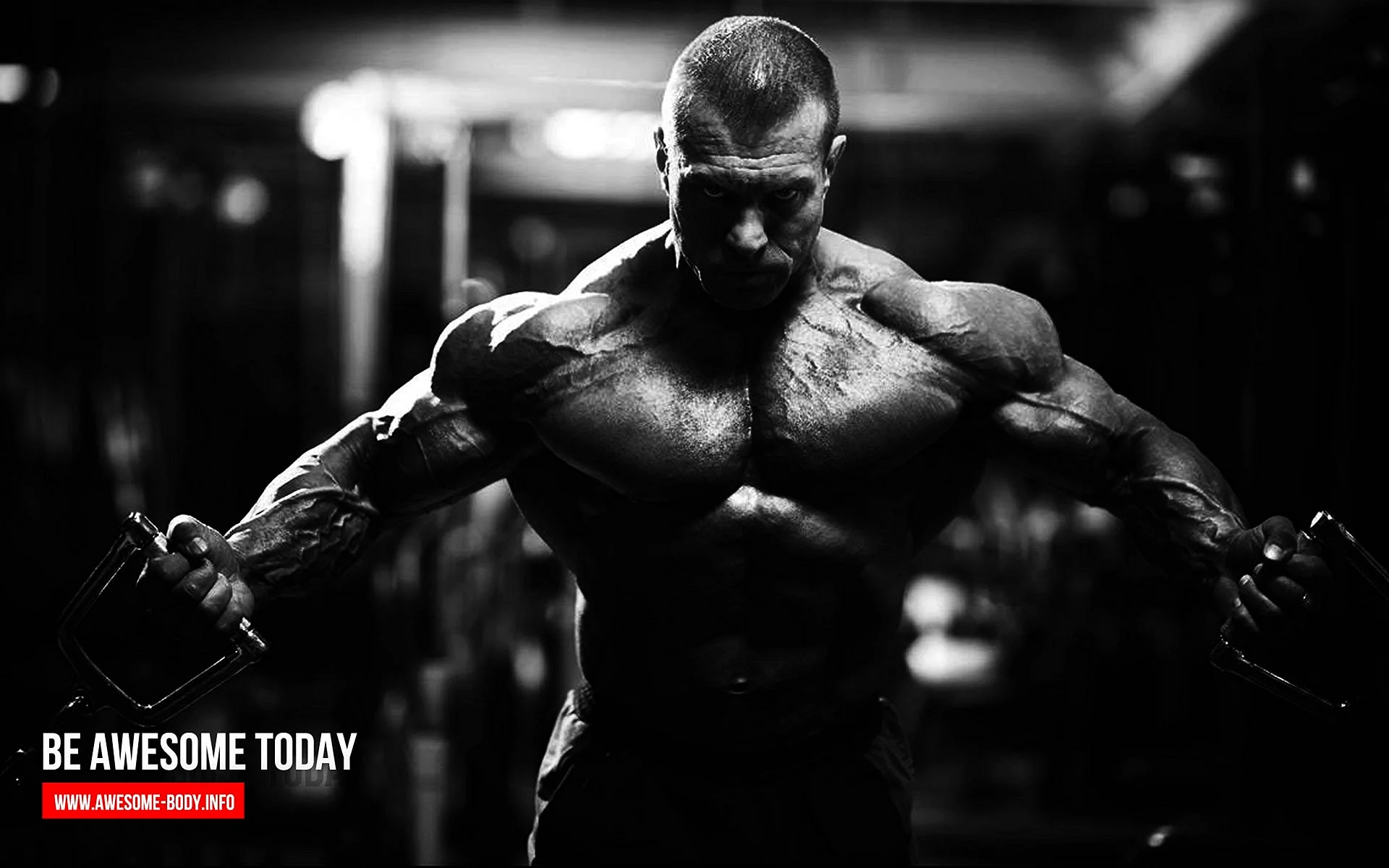 Fitness Bodybuilding Wallpaper