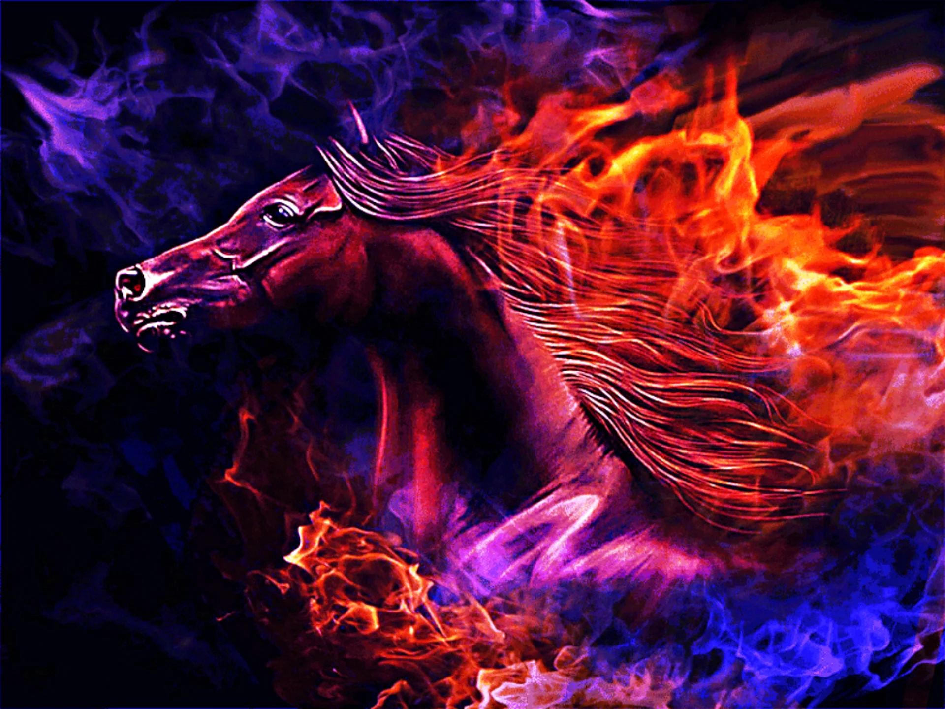 Flame Horse Wallpaper