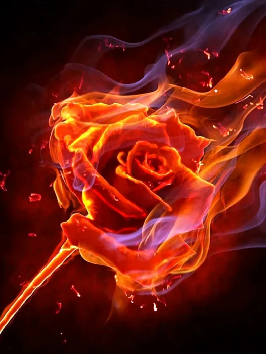 Flame Rose Wallpaper