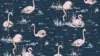 Flamingo And Leaves Pattern Gray Background Wallpaper