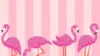 Flamingo Cartoon Wallpaper