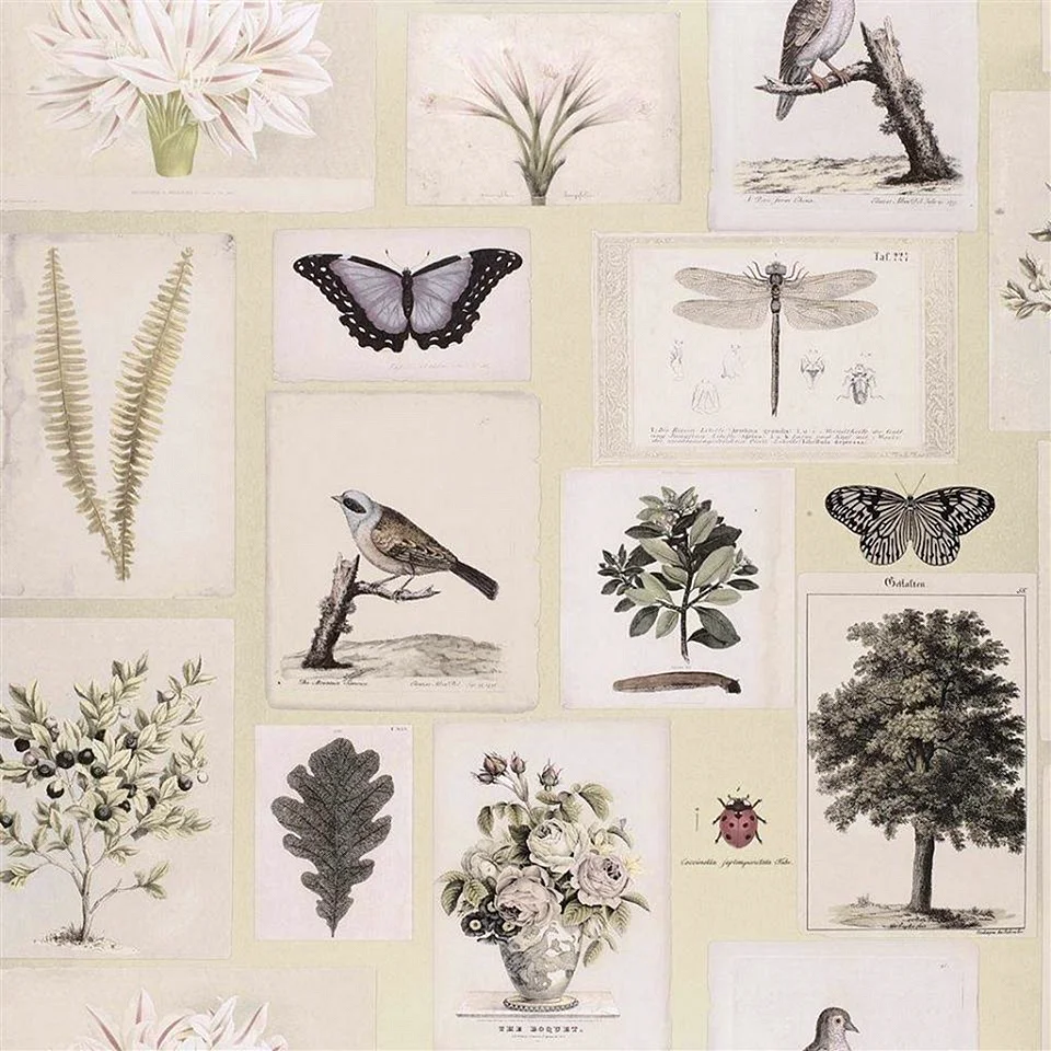 Flora And Fauna Delia By Spring Whitaker - Wrapped Canvas Print Wallpaper