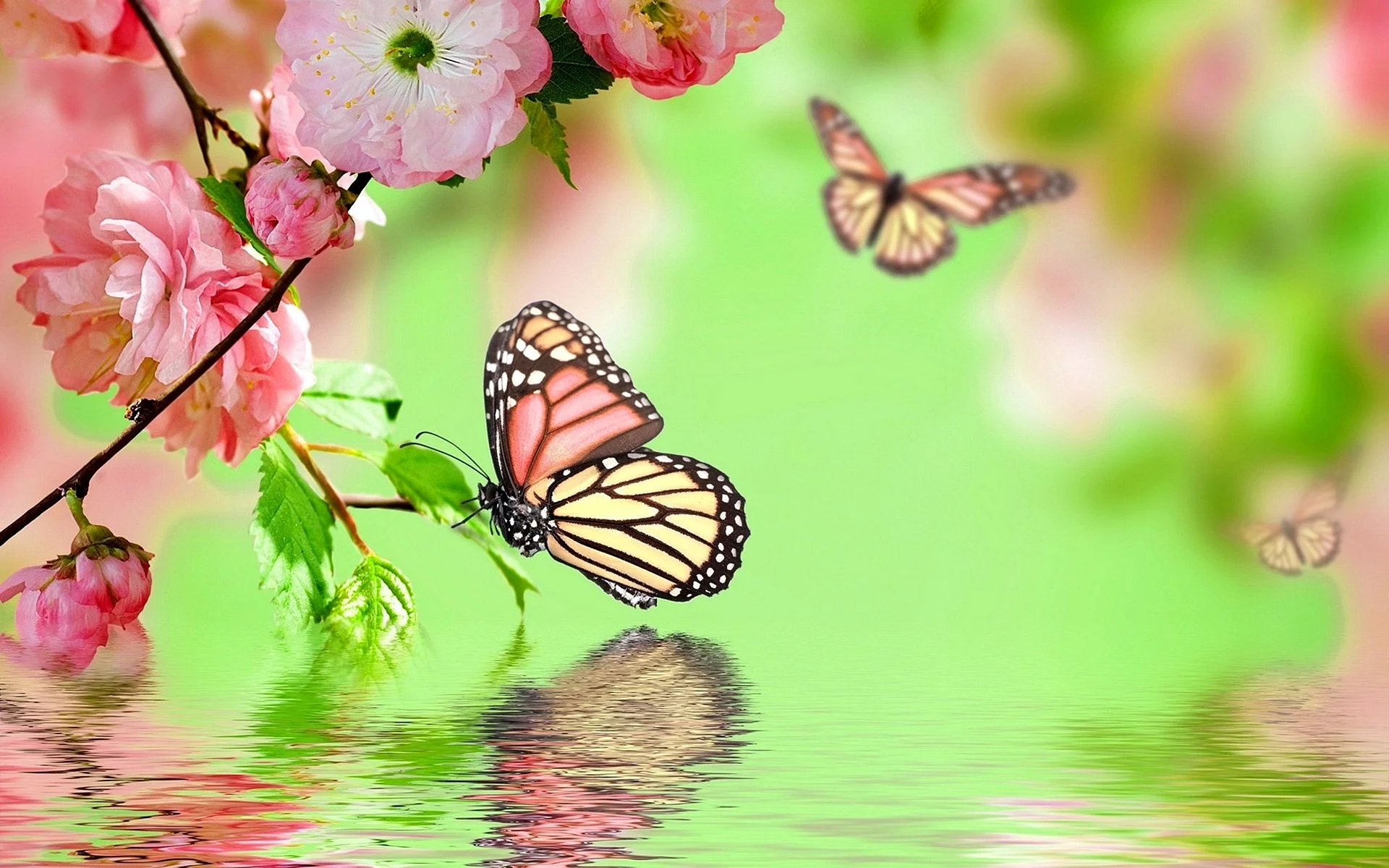 Floral Butterfly Wallpaper