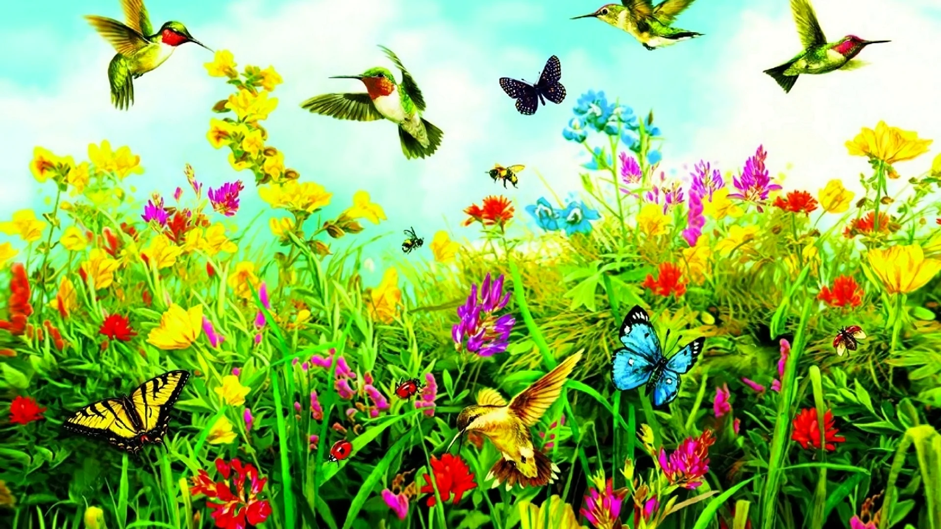 Flower Butterfly Wallpaper
