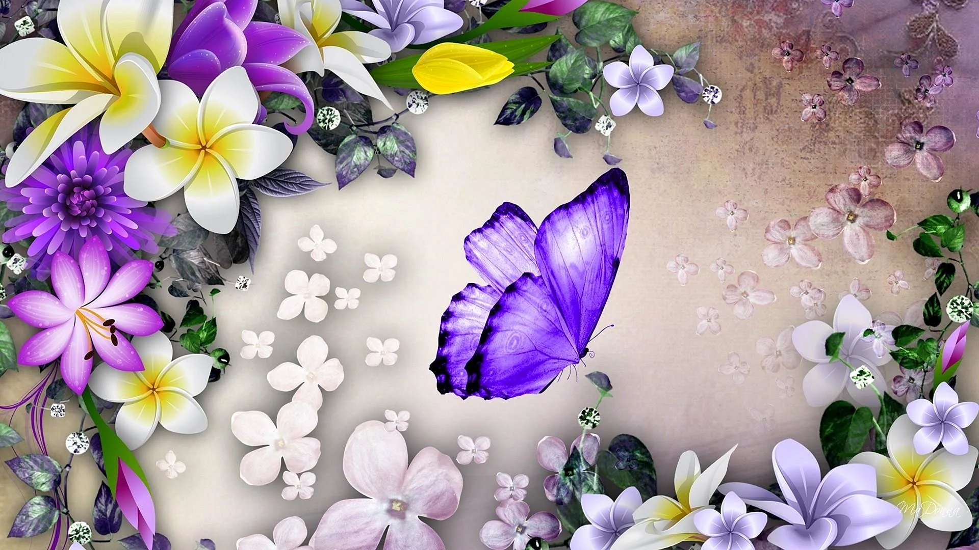 Flower Butterfly Wallpaper