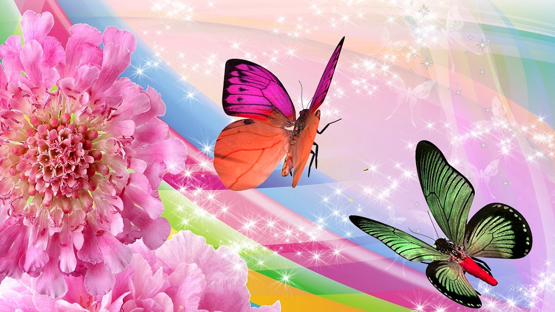 Flower Butterfly Wallpaper