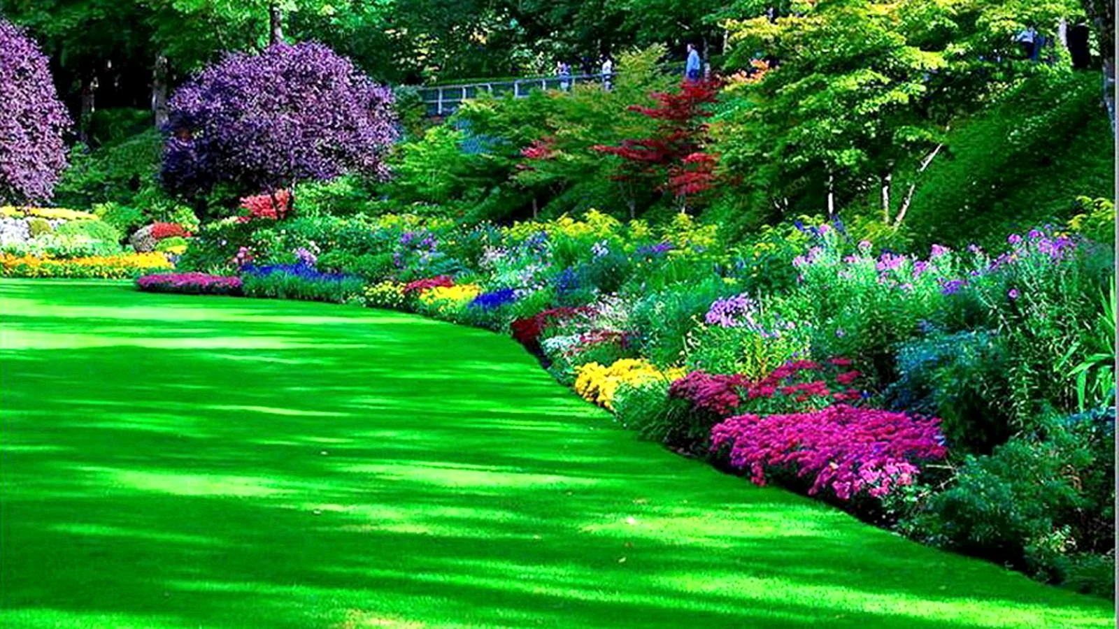 Flower Garden Wallpaper