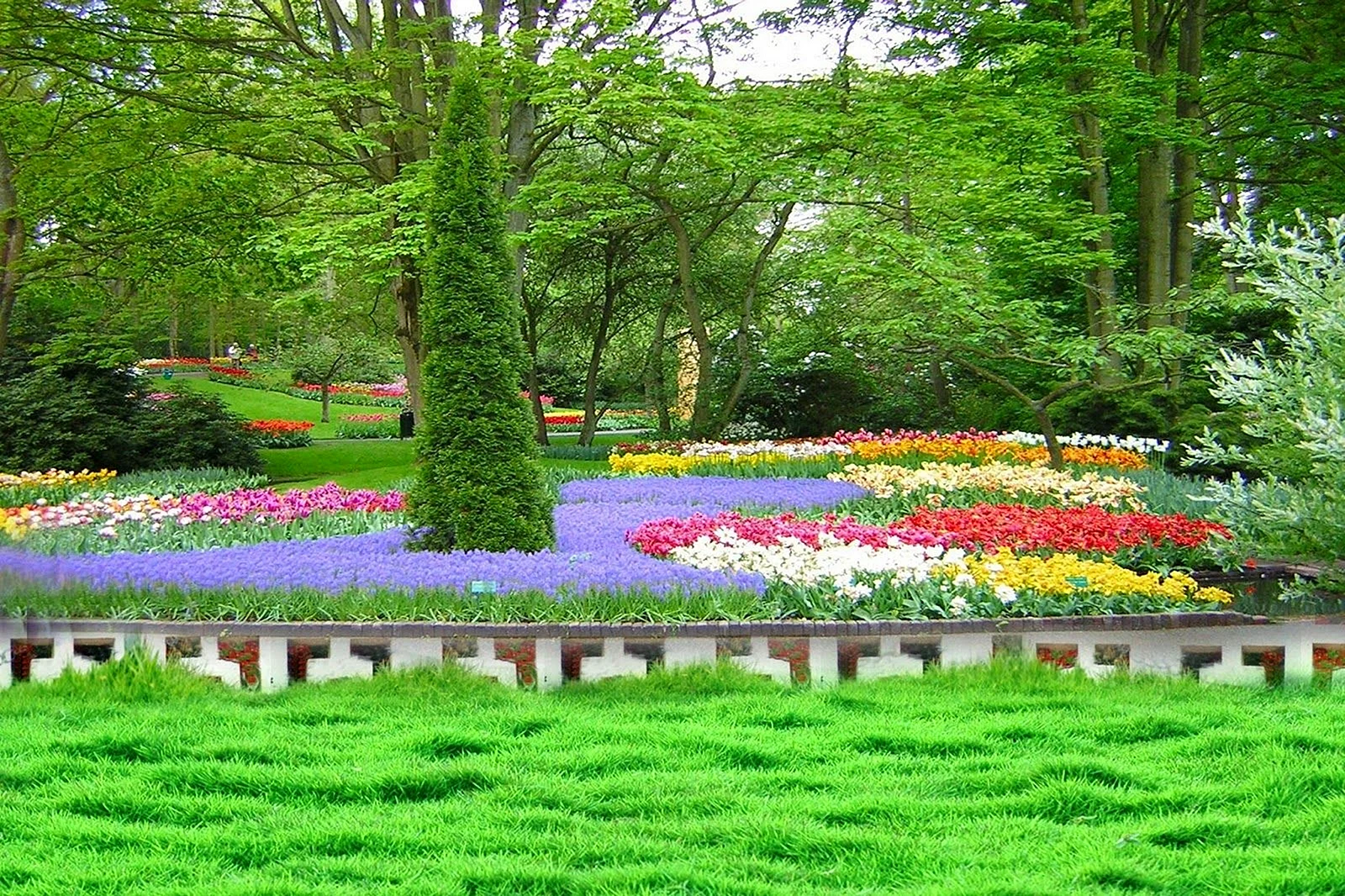 Flower Garden Scenic Wallpaper