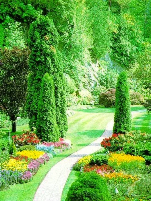 Flower Green Garden Wallpaper