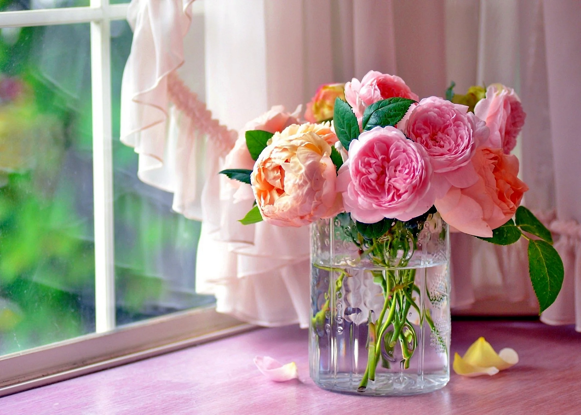 Flower in Vase Wallpaper