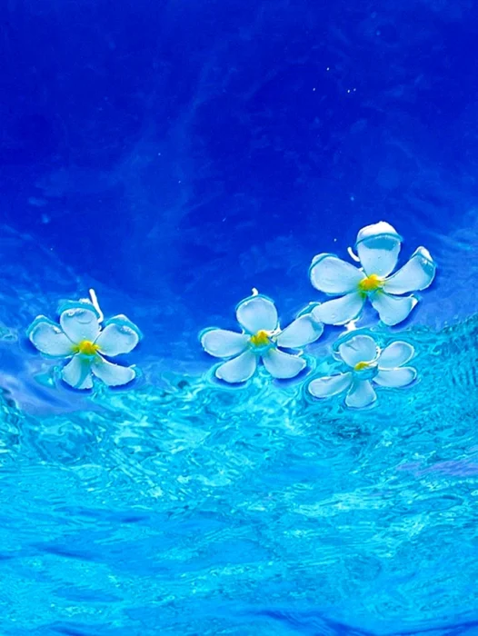 Flower Ocean Wallpaper