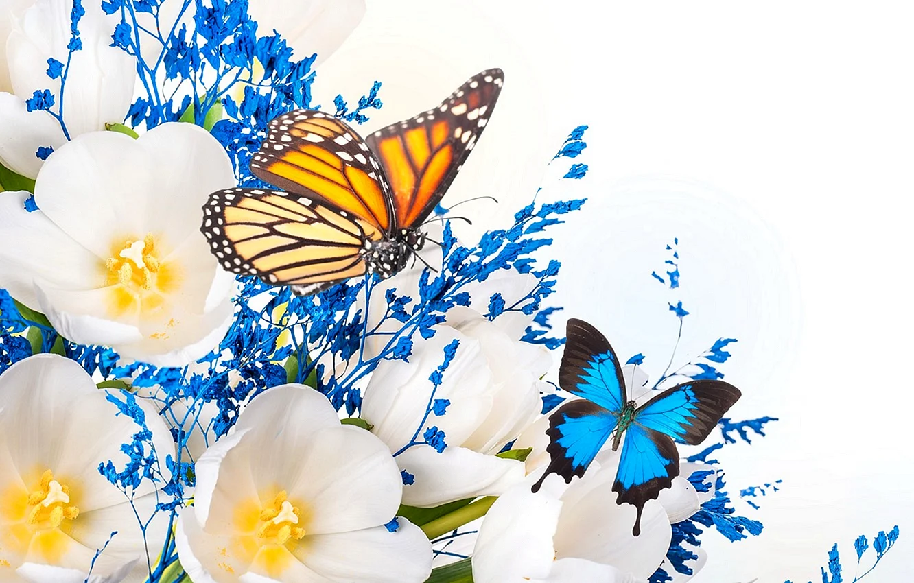 Flower With Butterfly Wallpaper