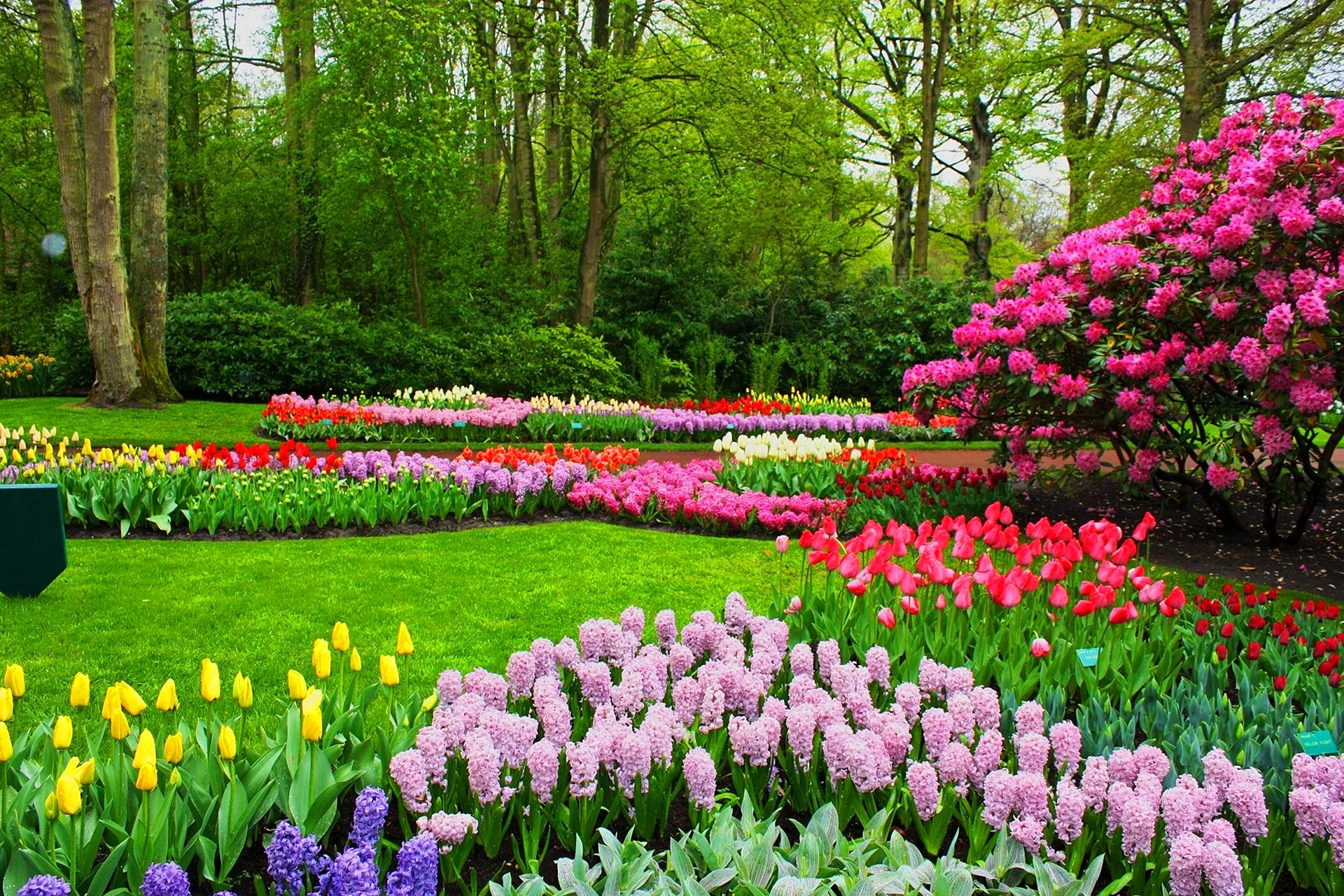 Flowering Garden Wallpaper