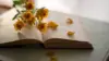 Flowers Book Desk Wallpaper
