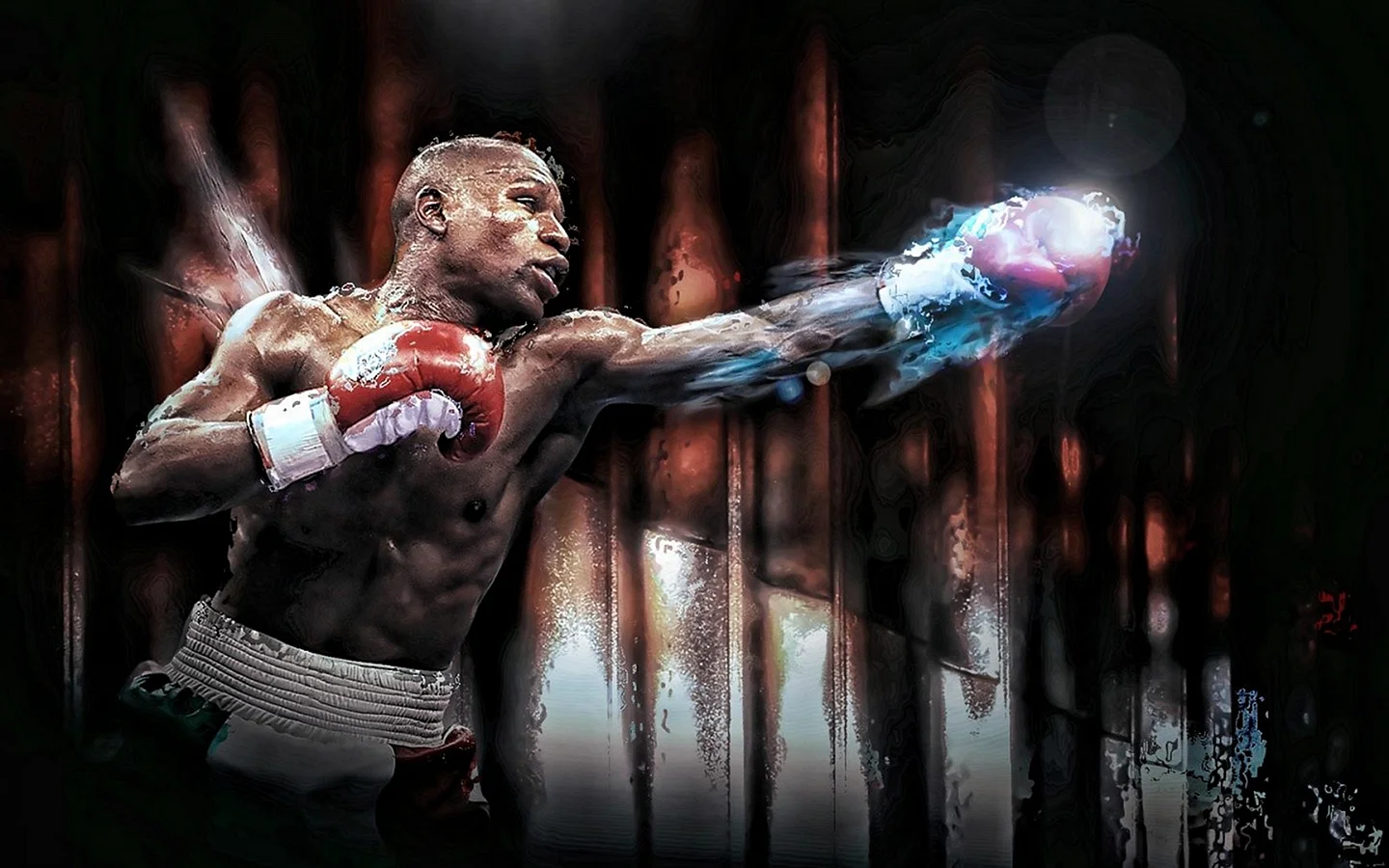 Floyd Mayweather Wallpaper