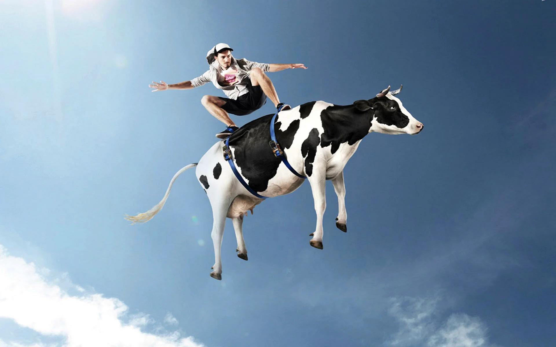 Flying Cow Wallpaper