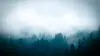 Foggy Forest Mountain Wallpaper