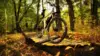 Forest Bike Wallpaper