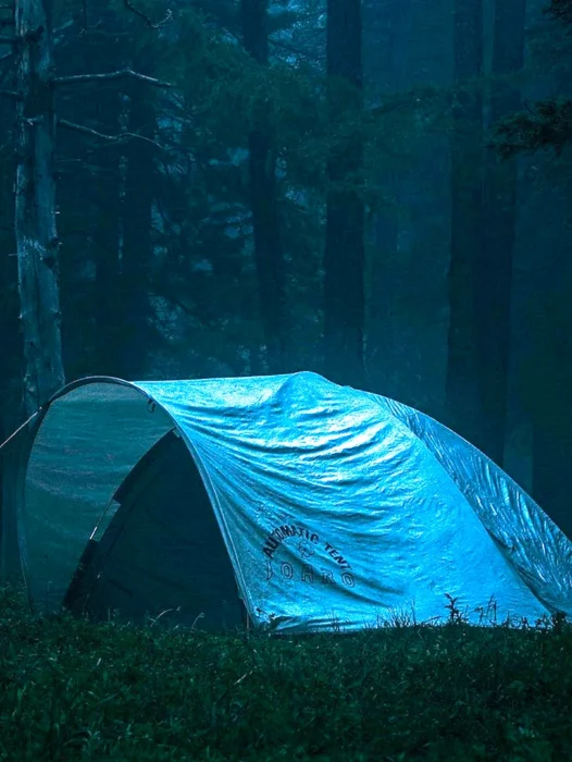 Forest Camping Wallpaper