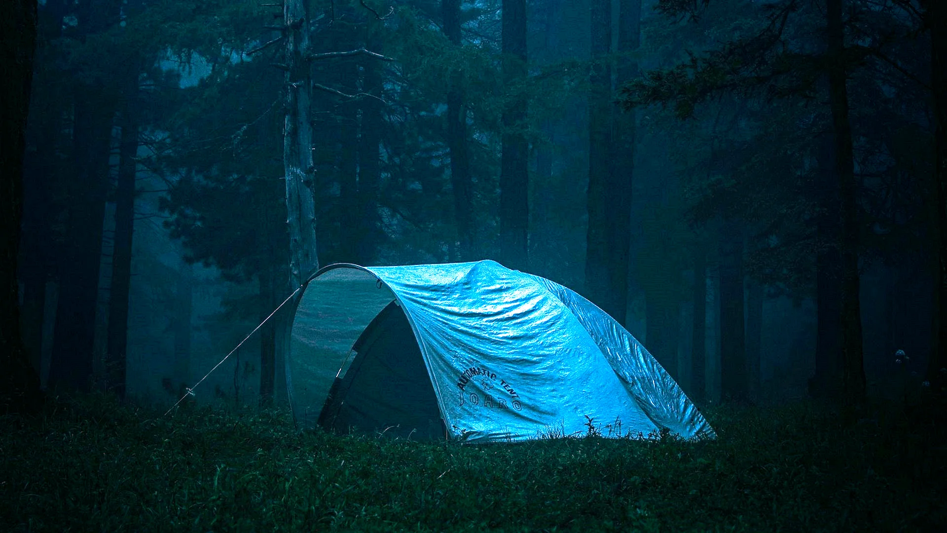 forest-camping-1.webp