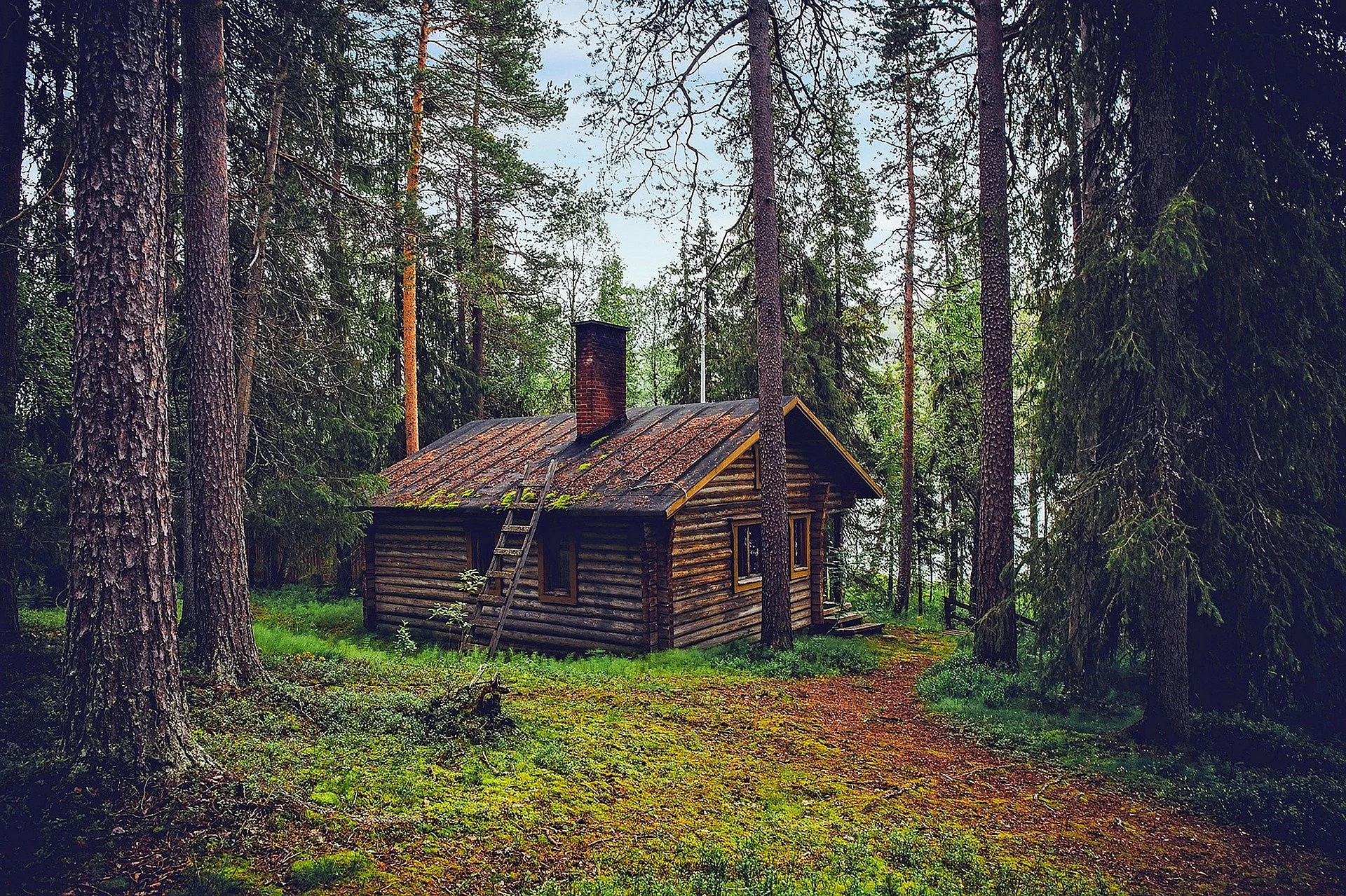 Forest Cottage Wallpaper