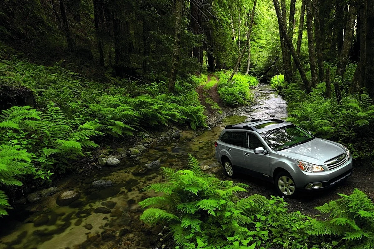 Forest Green Outback Subaru Wallpaper