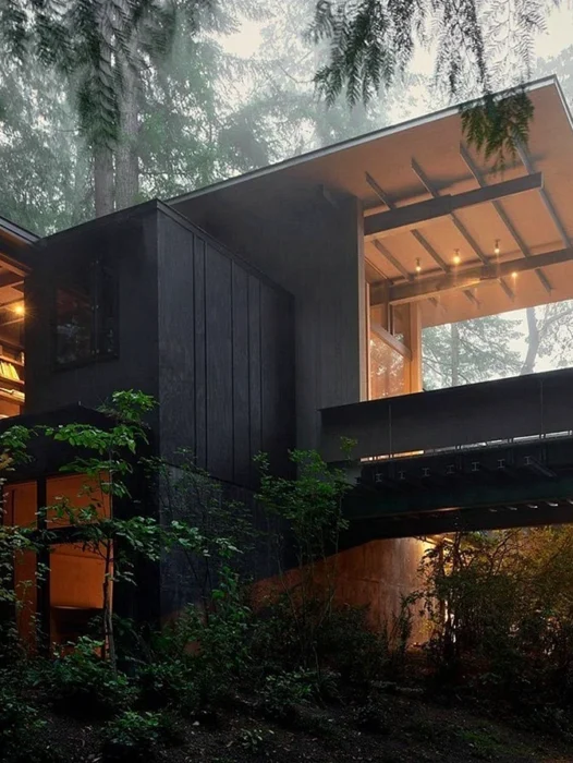 Forest Modern House Wallpaper