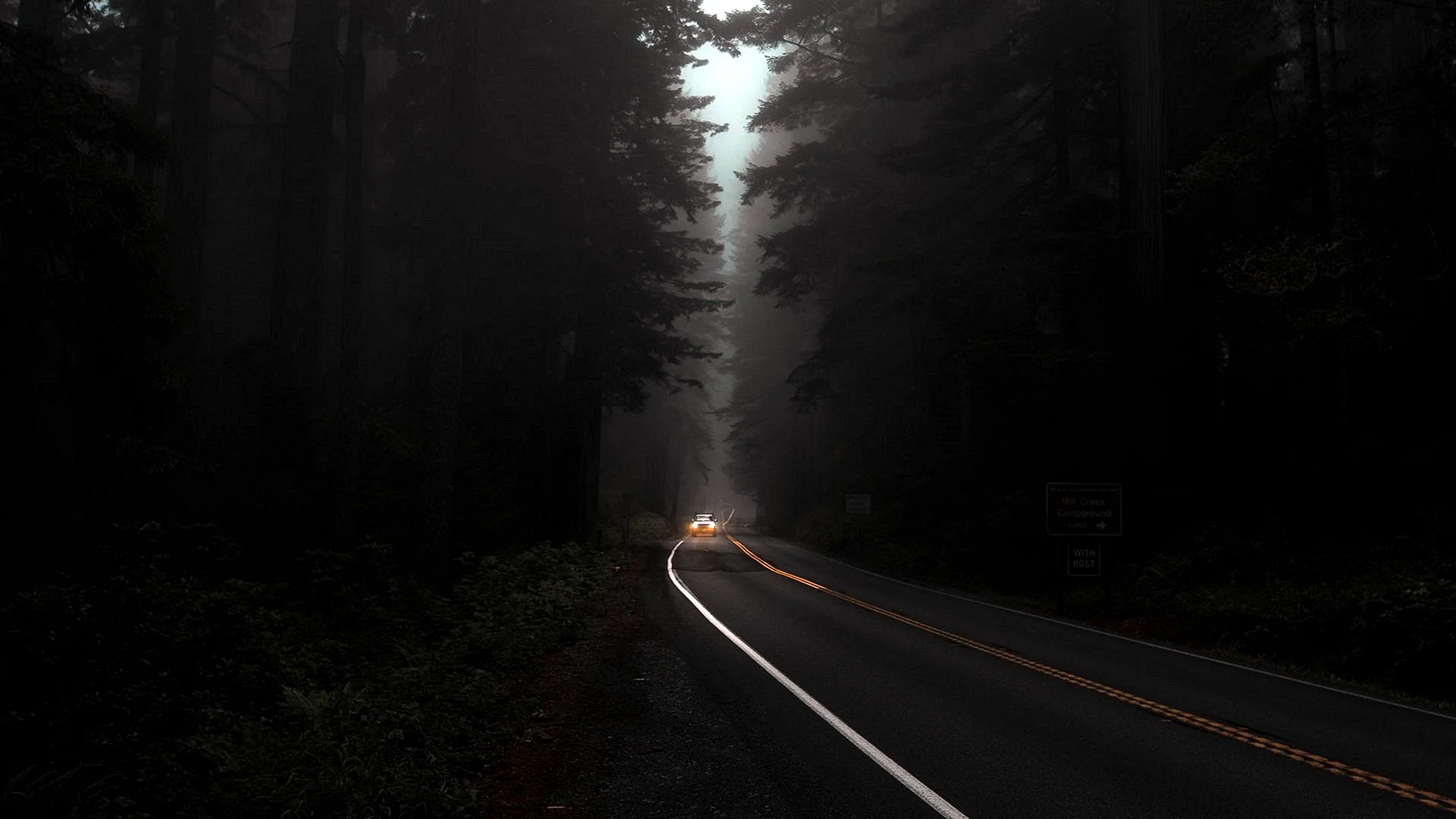 Forest Road Night Wallpaper