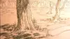 Forest Sketch Wallpaper