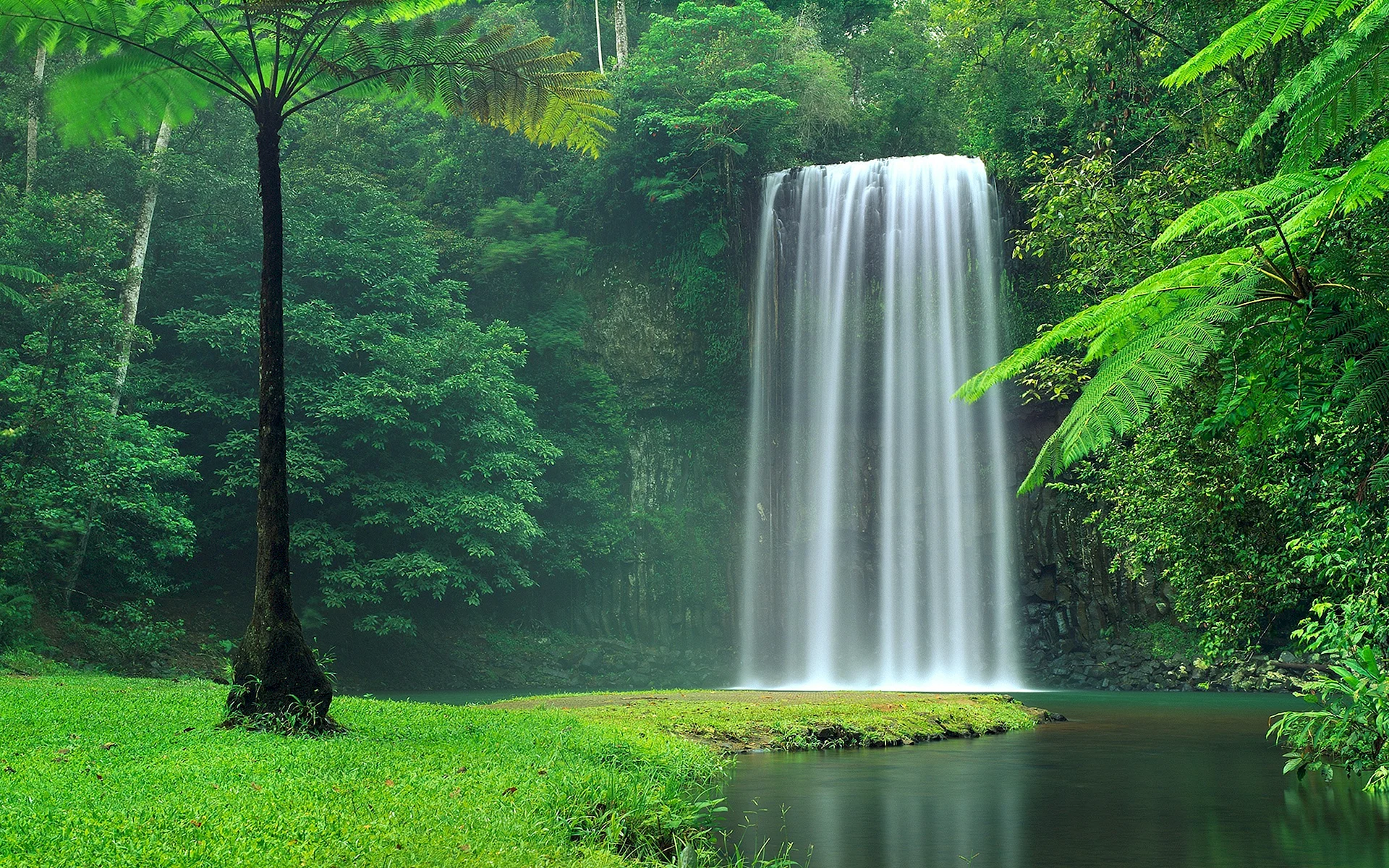 Forest Waterfall Wallpaper