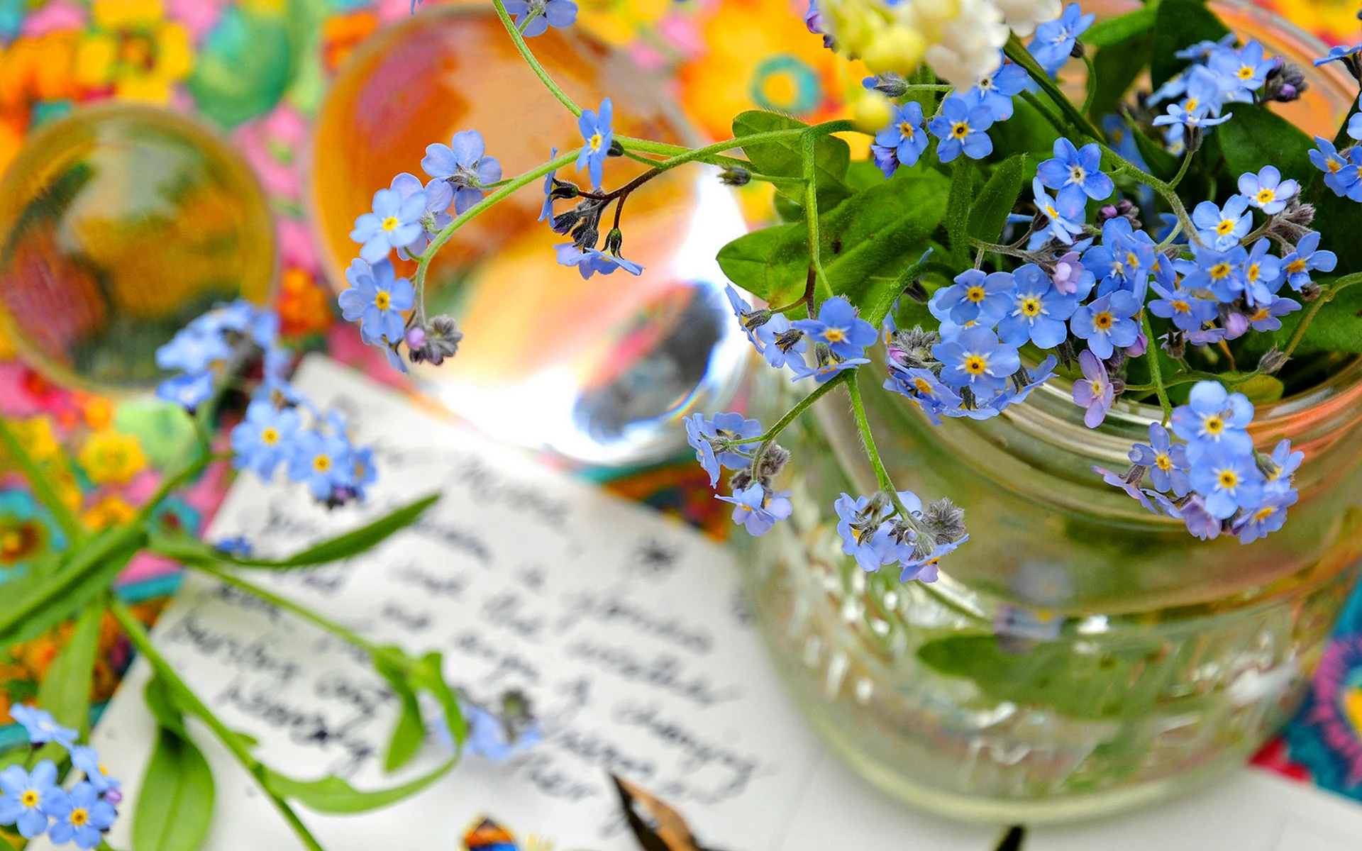 Forget Me Not Flower Wallpaper