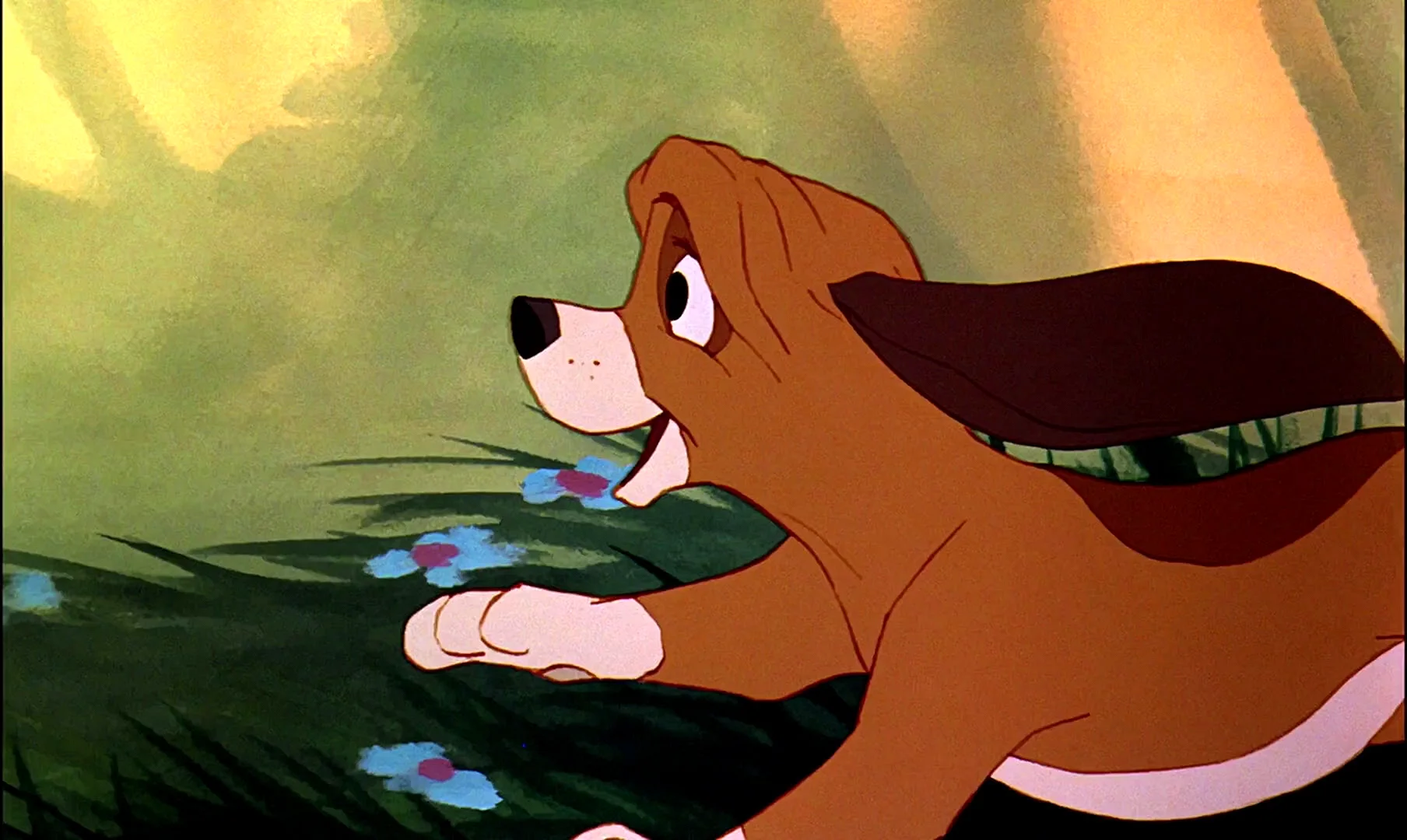 Fox And The Hound Characters Wallpaper