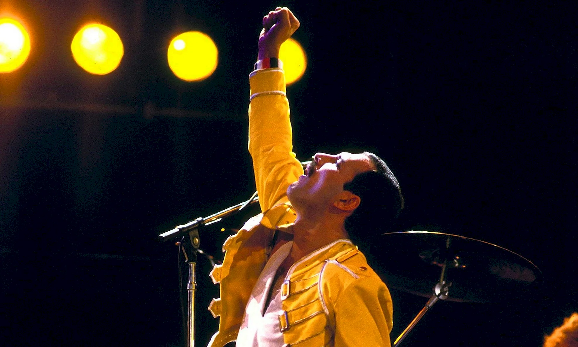 Freddie Mercury Wallpaper