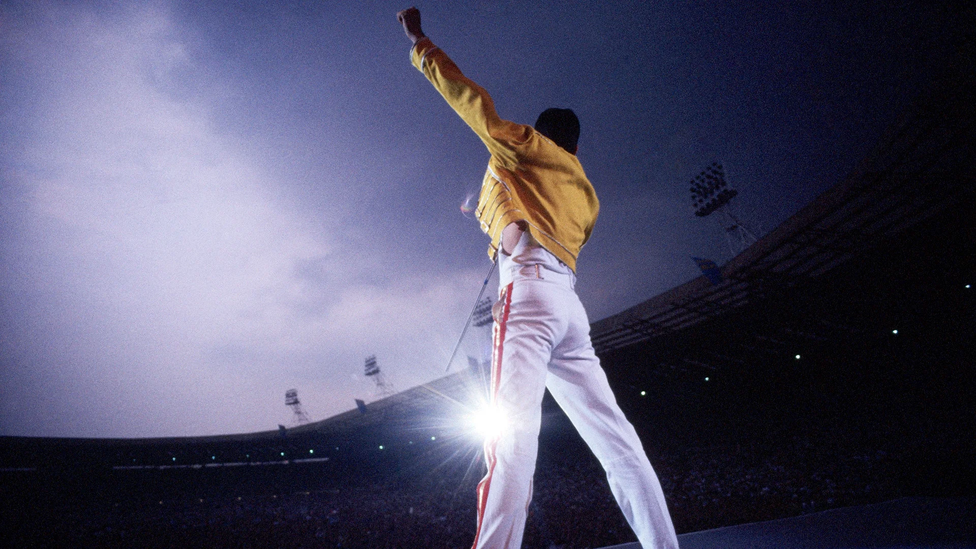 Freddie Mercury Wallpaper