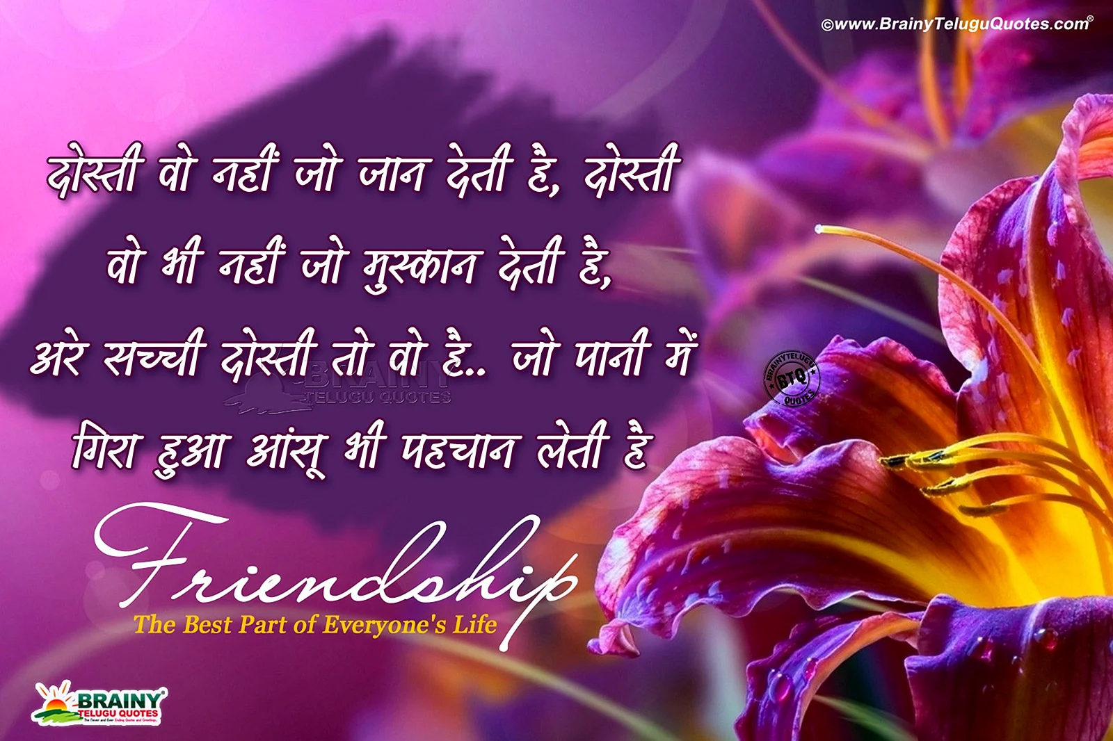 Friendship Shayari Wallpaper